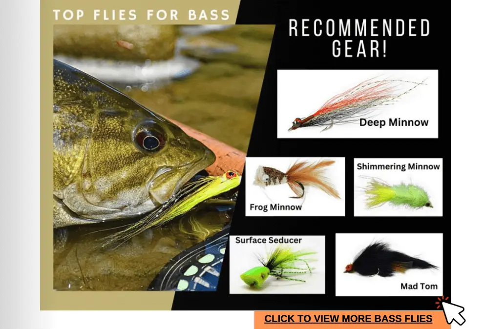 bass and flies